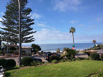 The view from my home office.