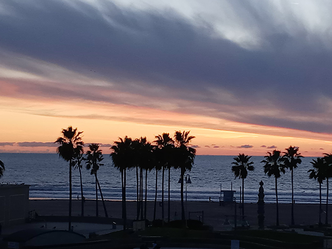 The sun sets on Venice Beach, California. View from 5th floor of Hotel Erwin overlooking the silouhette of palm trees along the beach as the sun sets behind whispy clouds